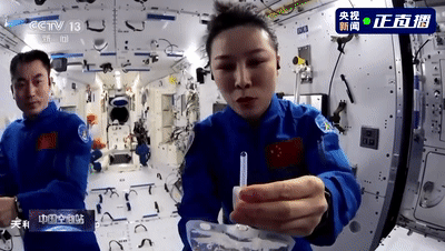 职业篮球教练如何制定有效的赛制训练计划？_1